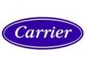 Carrier
